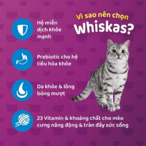 Mars Petcare