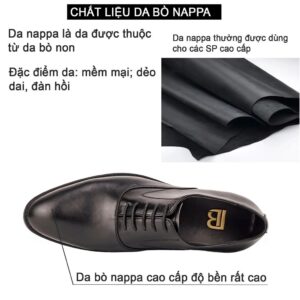 Bụi Leather