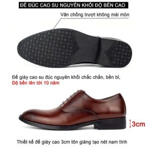 Bụi Leather