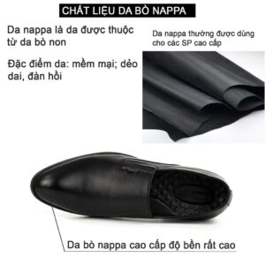 Bụi Leather