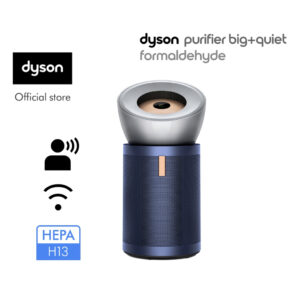 Dyson