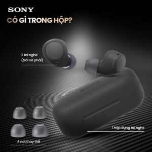 Sony