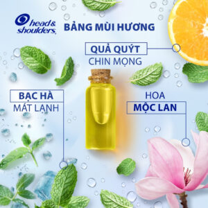 Dầu Gội Sạch Gàu HEAD & SHOULDERS