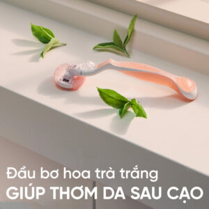 Lưỡi Dao Cạo Nữ GILLETTE